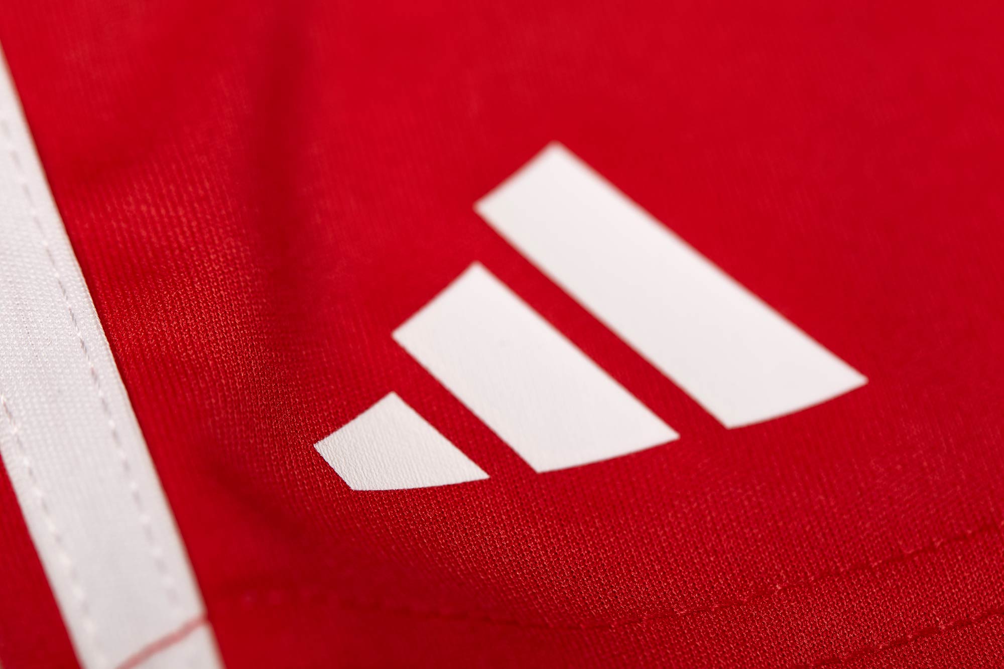 adidas boxing shorts ADIBTS02 red
